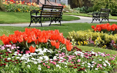 Flower Bed Landscaping Services Madisonville TN