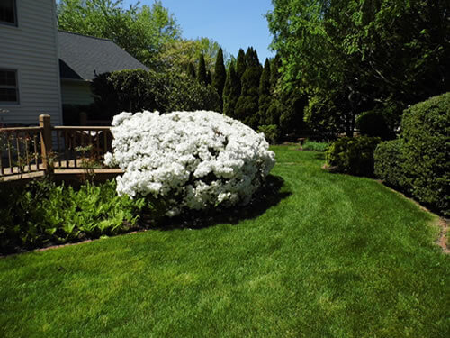 Landscaping and Design Services Monroe County, Athens, Etowah, Loudon, Madisonville, Sweetwater, Tellico Plains, Vonore, and surrounding areas.