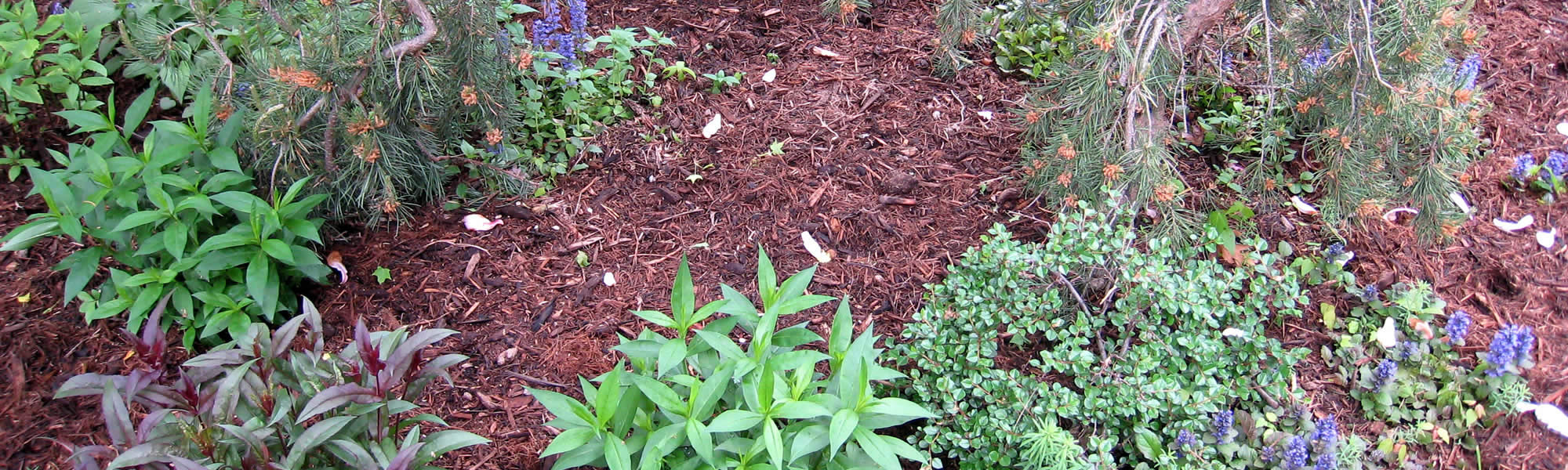 Decatur Mulch Installation Services